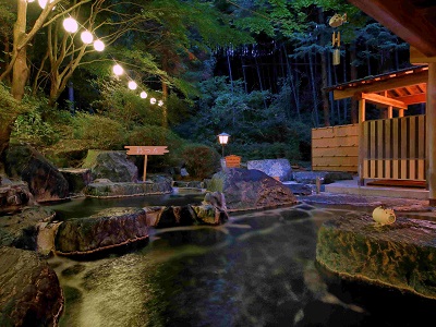 雨情の宿 新つた 1泊2食付き 平日ペア宿泊券