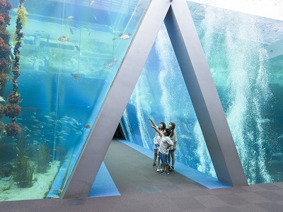 アクアマリンふくしま ペア入館券